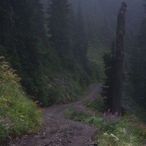 Meet your Posher, Eva